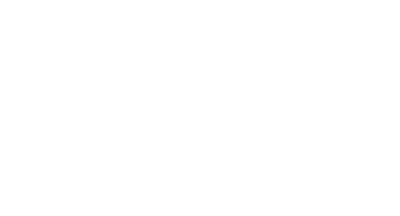 wordpress logo